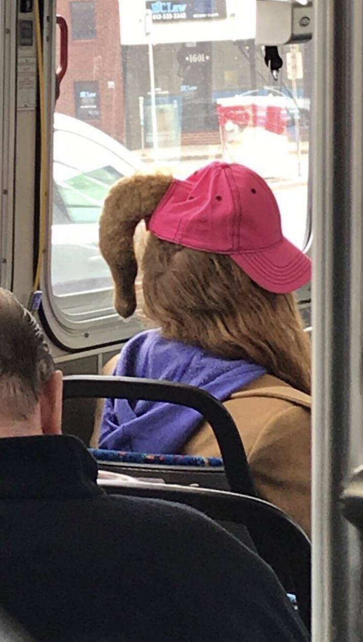 Morning Picdump