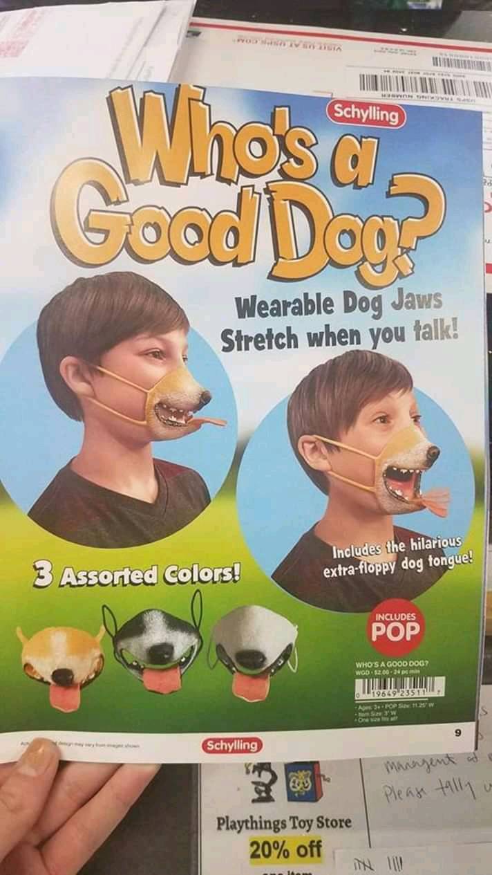 Morning Picdump