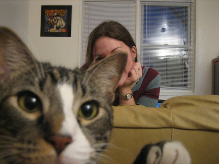 Photobombers Who Couldn’t Care Less About Your Perfect Photos