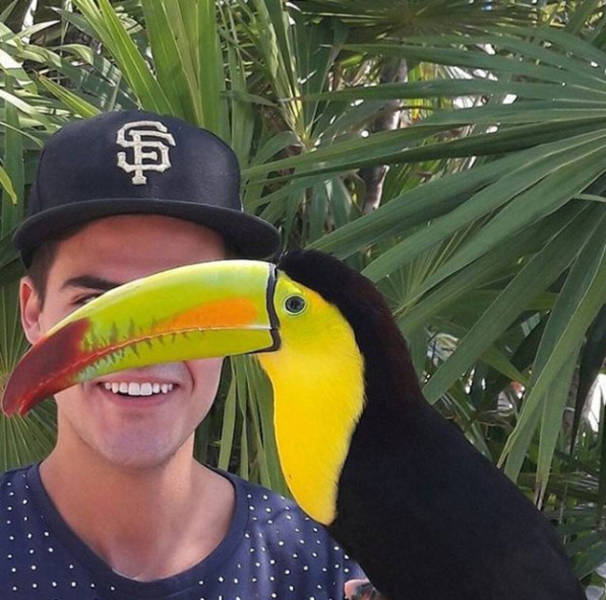 Photobombers Who Couldn’t Care Less About Your Perfect Photos