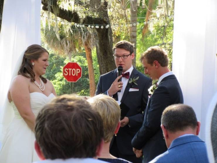 Photobombers Who Couldn’t Care Less About Your Perfect Photos