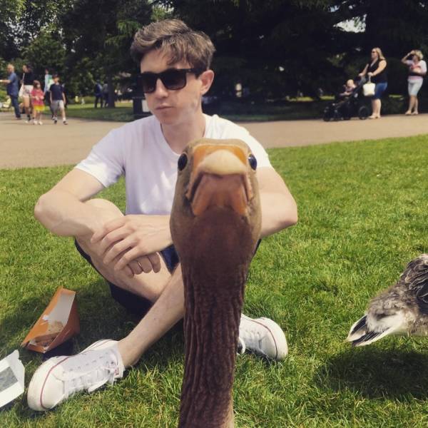Photobombers Who Couldn’t Care Less About Your Perfect Photos