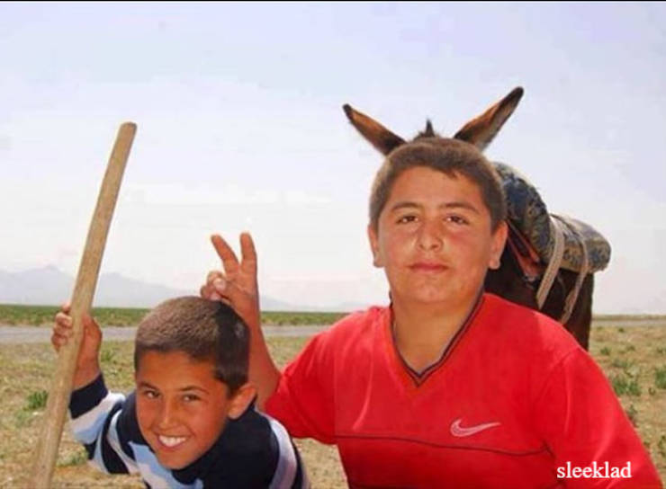 Photobombers Who Couldn’t Care Less About Your Perfect Photos