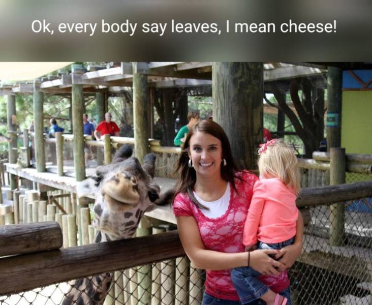 Photobombers Who Couldn’t Care Less About Your Perfect Photos