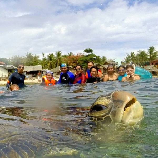 Photobombers Who Couldn’t Care Less About Your Perfect Photos