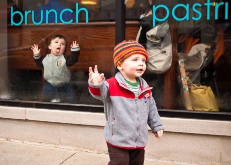 Photobombers Who Couldn’t Care Less About Your Perfect Photos