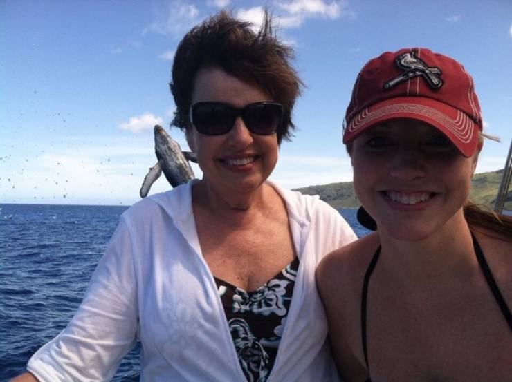 Photobombers Who Couldn’t Care Less About Your Perfect Photos