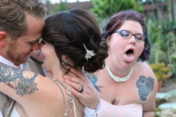 Photobombers Who Couldn’t Care Less About Your Perfect Photos