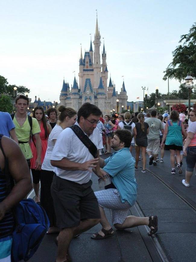 Photobombers Who Couldn’t Care Less About Your Perfect Photos
