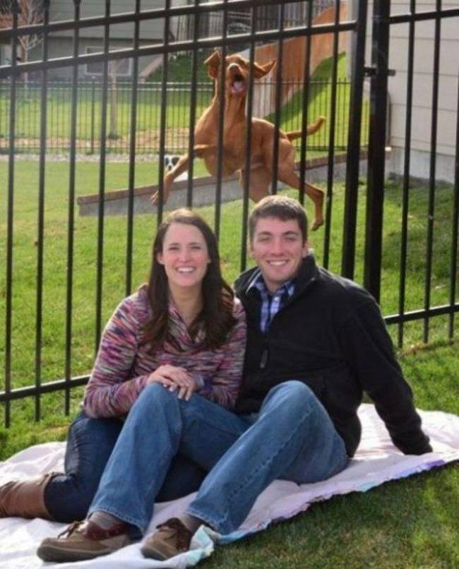 Photobombers Who Couldn’t Care Less About Your Perfect Photos