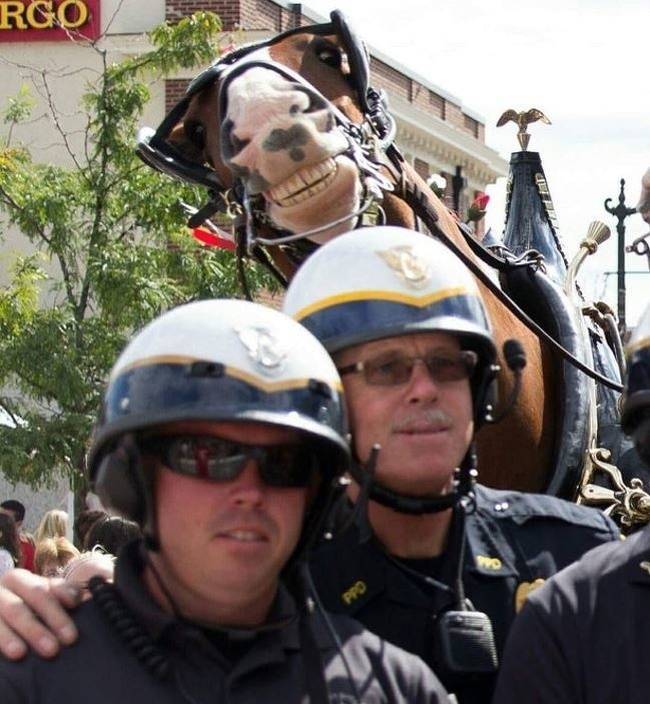 Photobombers Who Couldn’t Care Less About Your Perfect Photos