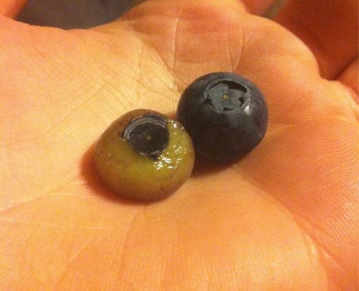 Who Knew Peeled Fruits Look So Incredibly Satisfying