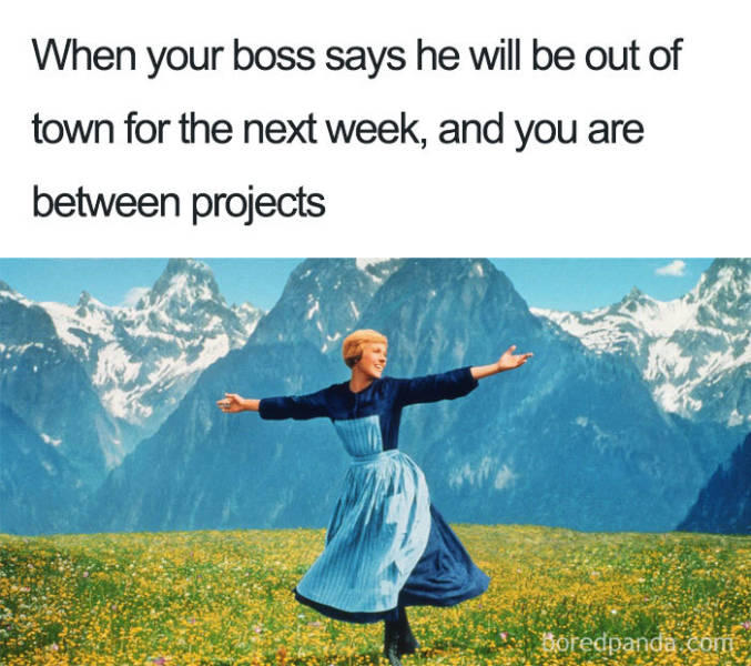 Submit To These Boss Memes!