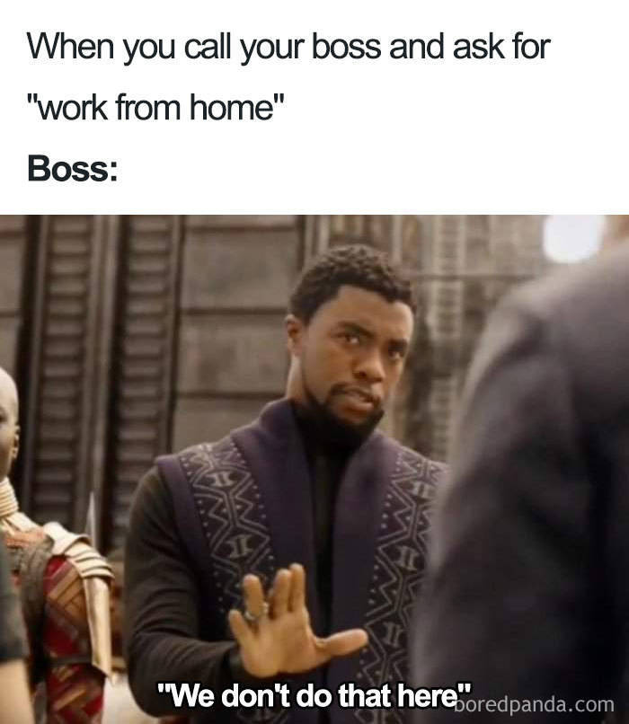 Submit To These Boss Memes! (30 pics) - Izismile.com