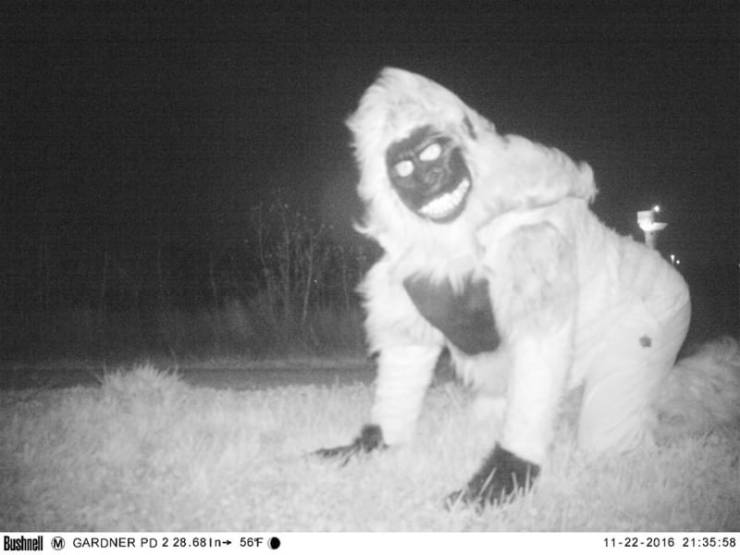 Police Just Wanted To Find A Mountain Lion…