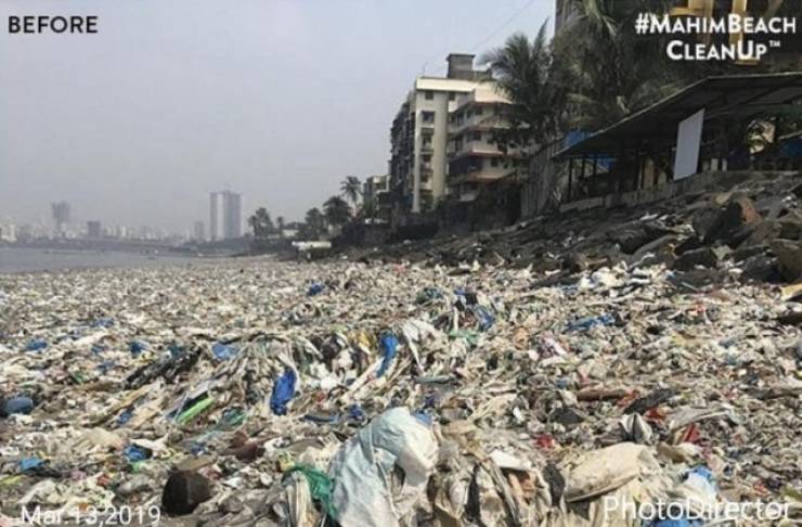 700 Tons Of Plastic Were Removed From Mahim Beach In Mumbai, India