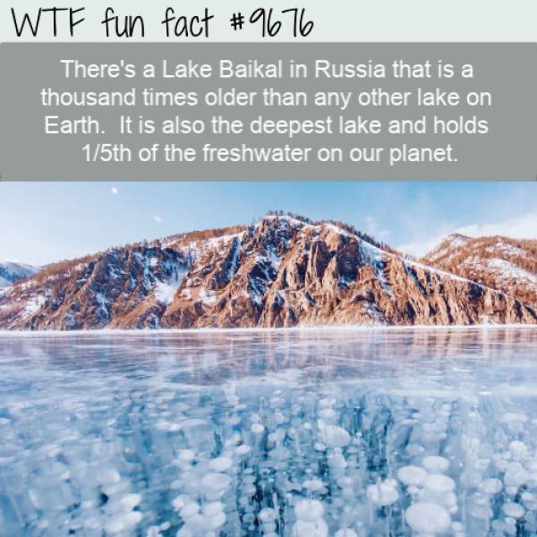 Fancy Some Facts?