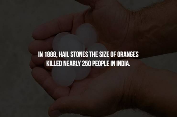 Creepy Facts For Your Scary Bone