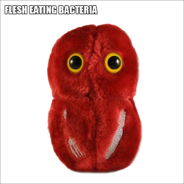 Cute Plush Versions Of Serious Disease Bacteria