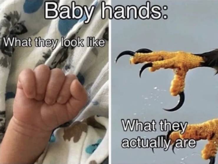 These Baby Memes Won’t Piss Themselves