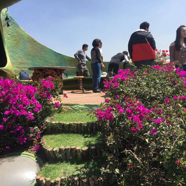 This Hobbit House Is A Perfect Example Of Organic Architecture