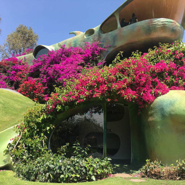 This Hobbit House Is A Perfect Example Of Organic Architecture