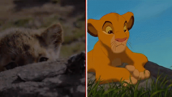 “The Lion King”: 2019 Version Vs. 1994 Version In A Frame-By-Frame Comparison
