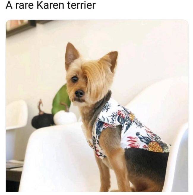 Oh No Karen, Not You Again