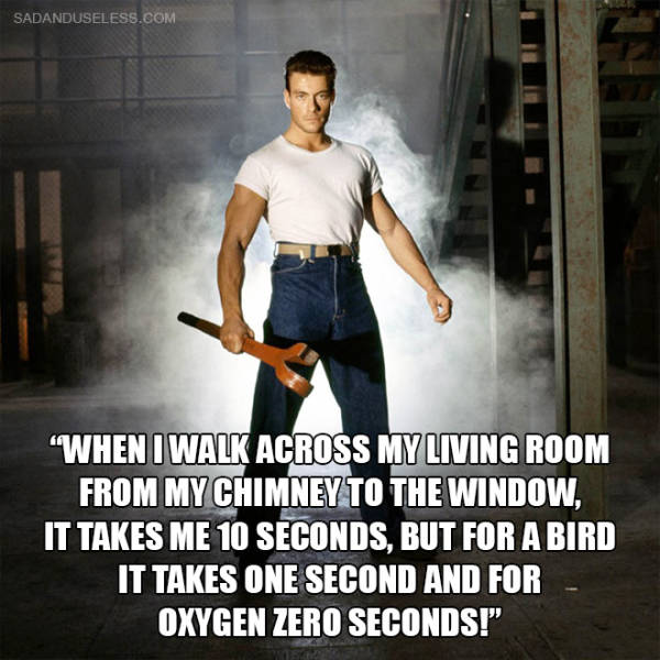 Always Believe Two Things: Jean Claude Van Damme Quotes And Internet