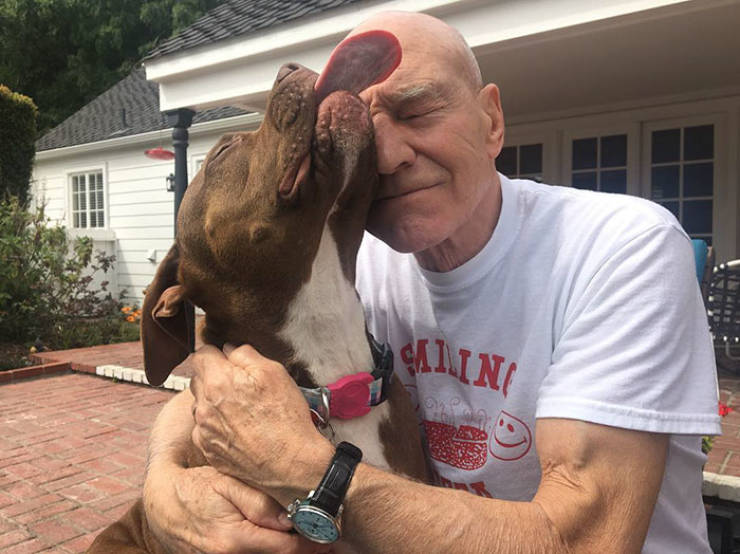 Patrick Stewart Adopts Yet Another Dog, And They Are Adorable Together