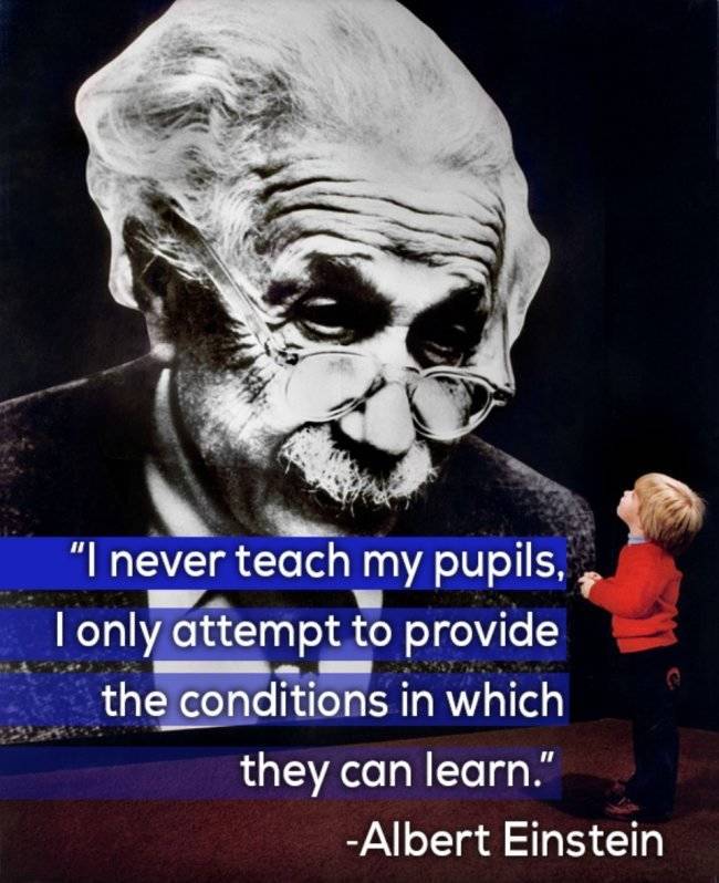 What Famous Minds Thought About Teaching