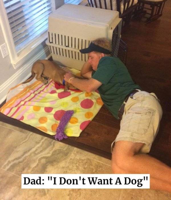 Dad: “I Don’t Want A Dog”