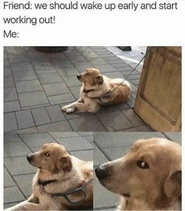 Get Pumped With These Gym Memes!