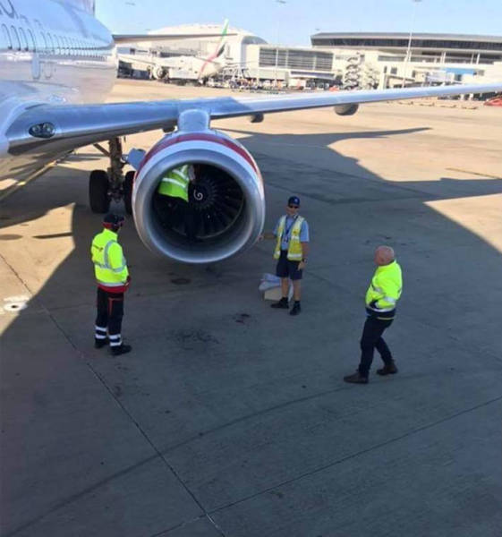 Pretty Sure This Is Not What Is Supposed To Be Inside A Plane’s Engine
