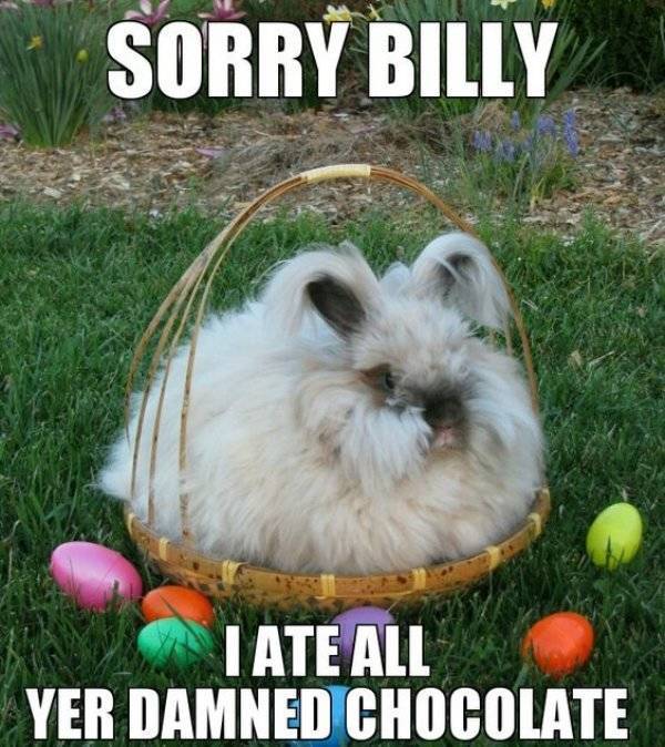 Don’t Put All Your Easter Memes In One Basket
