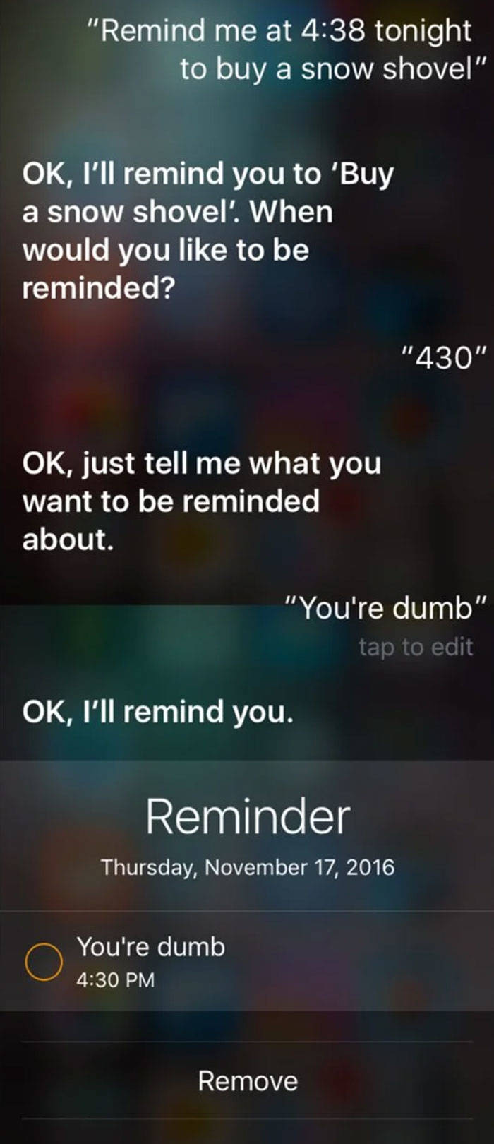 You Ask Siri Stupid Questions, You Get Stupid Answers