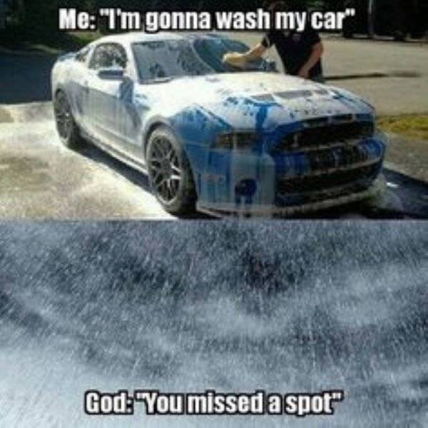 Car Memes Will Take You On A Wild Ride