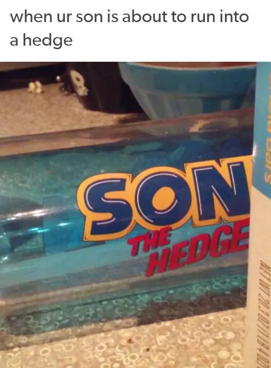 Dumb Pictures Are Funny. This Is The Internet