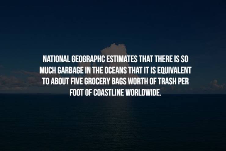 Creepy Facts To Start Your Week With: Ocean Edition