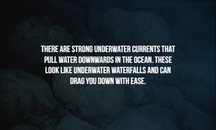 Creepy Facts To Start Your Week With: Ocean Edition