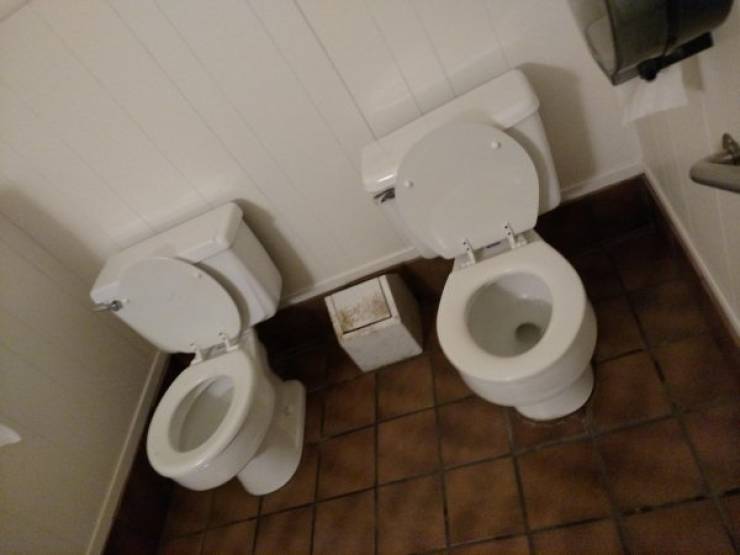 Toilet Humor… Literally