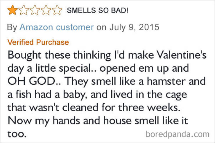 Amazon Is A Treasure Chest Of Funny Reviews
