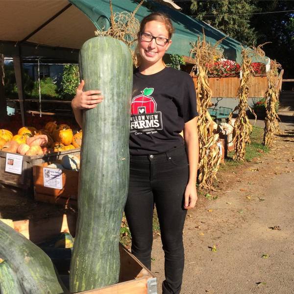 Gigantic Vegetables That Dwarf Everything Around