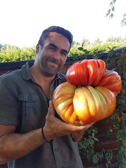 Gigantic Vegetables That Dwarf Everything Around