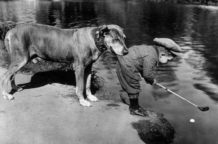 Fine Examples When A Picture Says More Than Just A Thousand Words