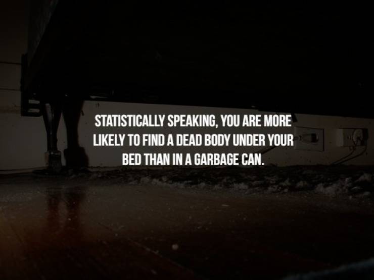 Creepy Facts Are What You Really Need Right Now