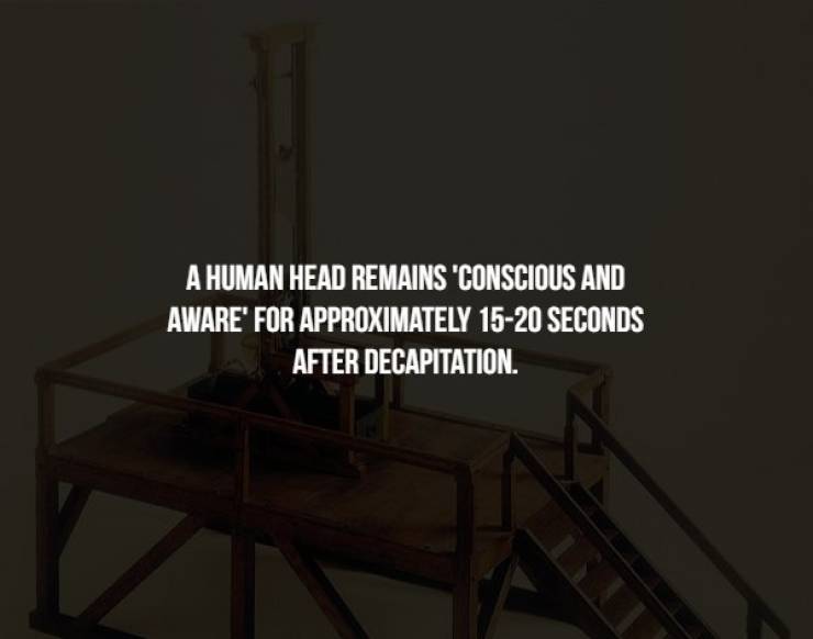 Creepy Facts Are What You Really Need Right Now
