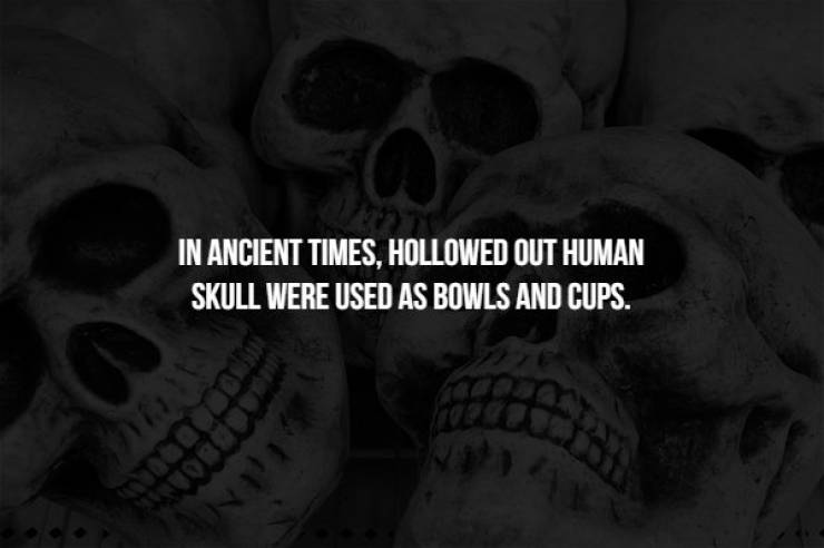Creepy Facts Are What You Really Need Right Now