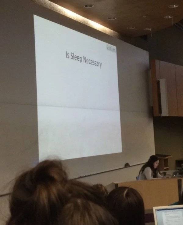College Itself Is A Meme