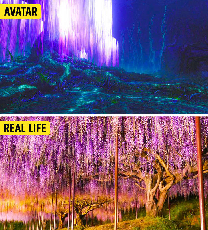 Beautiful Movie Sceneries That Were Actually Inspired By Real-Life Places